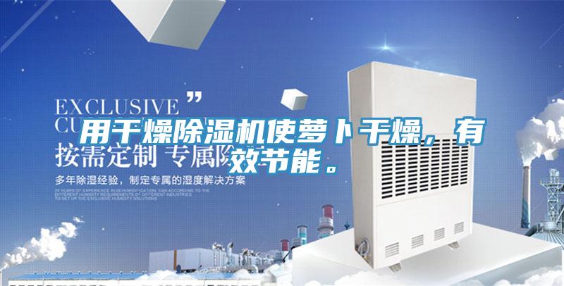 用干燥除濕機(jī)使蘿卜干燥，有效節(jié)能。