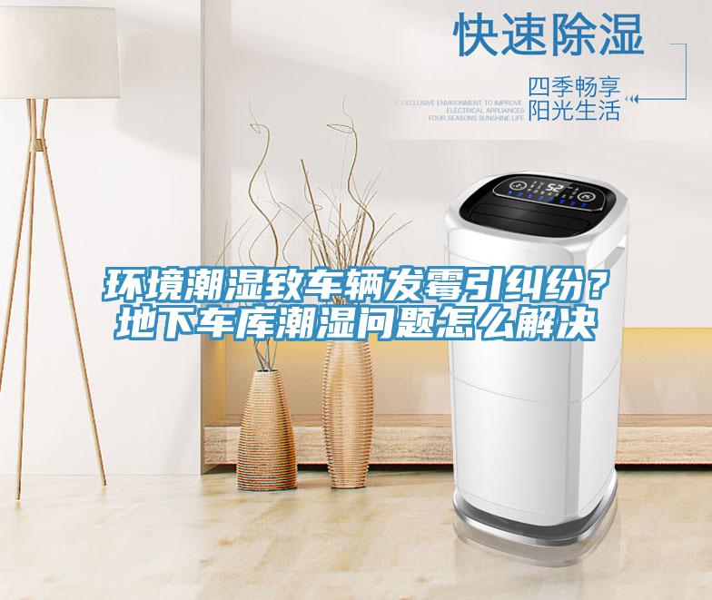環(huán)境潮濕致車輛發(fā)霉引糾紛？地下車庫(kù)潮濕問題怎么解決