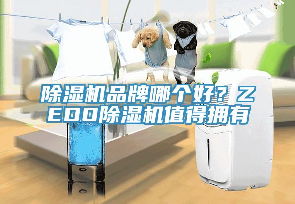除濕機(jī)品牌哪個(gè)好？ZEDO除濕機(jī)值得擁有