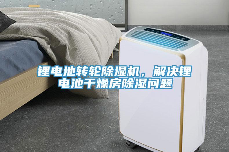 鋰電池轉(zhuǎn)輪除濕機(jī)，解決鋰電池干燥房除濕問題