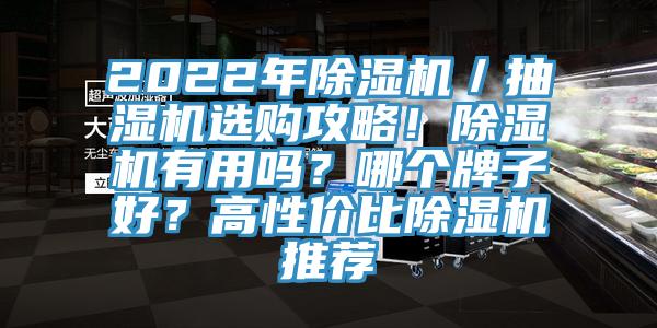 2022年除濕機(jī)／抽濕機(jī)選購攻略！除濕機(jī)有用嗎？哪個(gè)牌子好？高性價(jià)比除濕機(jī)推薦