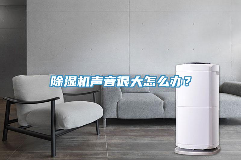 除濕機(jī)聲音很大怎么辦？