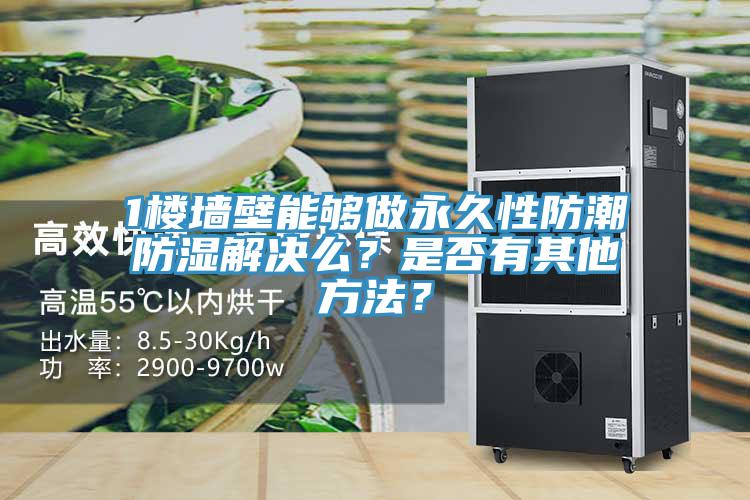 1樓墻壁能夠做永久性防潮防濕解決么？是否有其他方法？