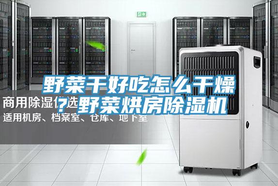 野菜干好吃怎么干燥？野菜烘房除濕機(jī)