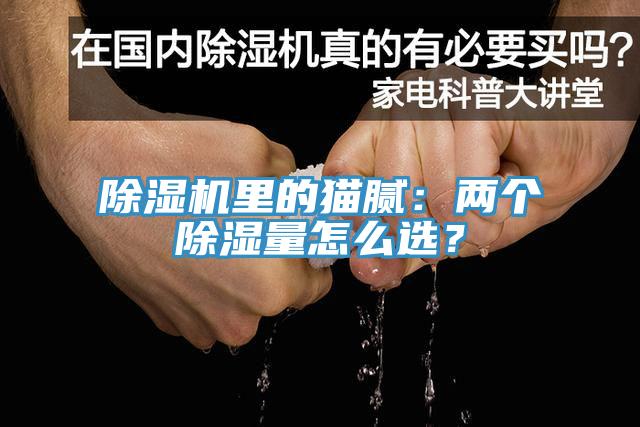 除濕機(jī)里的貓膩：兩個(gè)除濕量怎么選？