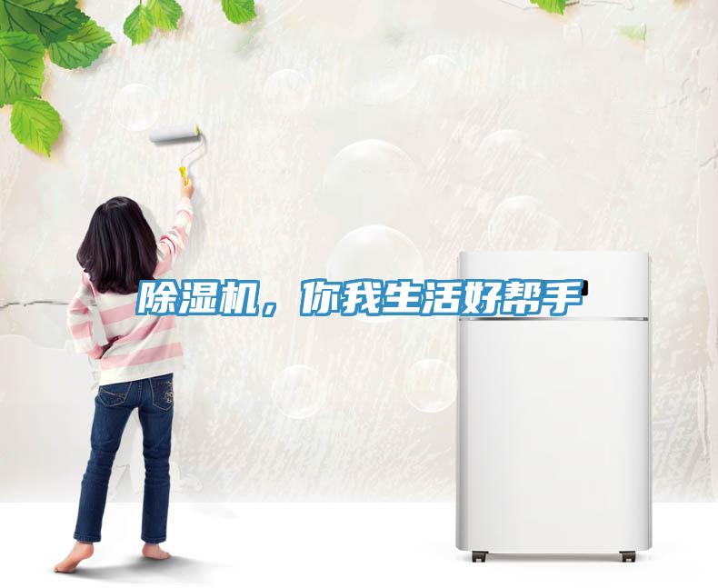 除濕機，你我生活好幫手
