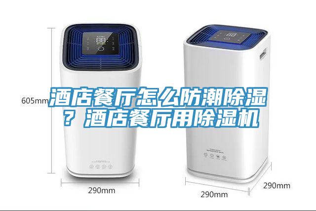 酒店餐廳怎么防潮除濕？酒店餐廳用除濕機(jī)
