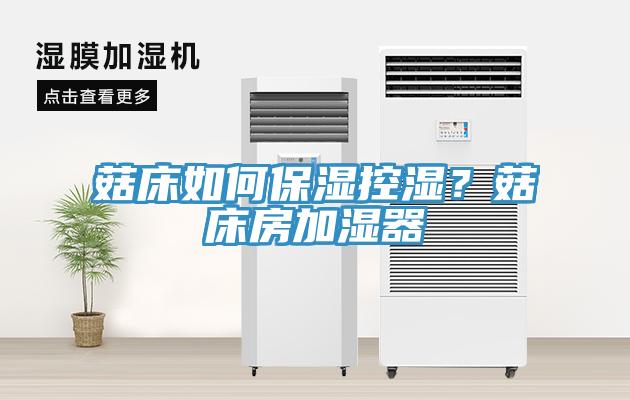 菇床如何保濕控濕？菇床房加濕器
