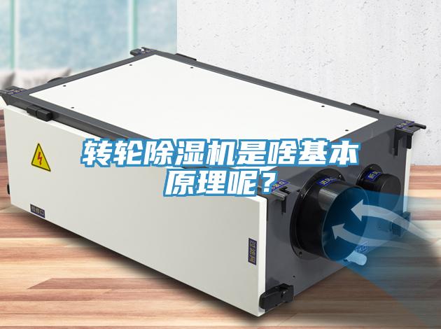 轉(zhuǎn)輪除濕機(jī)是啥基本原理呢？
