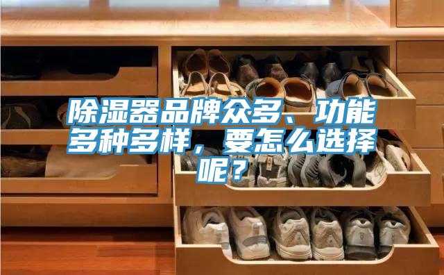 除濕器品牌眾多、功能多種多樣，要怎么選擇呢？