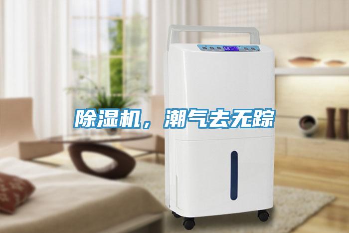 除濕機，潮氣去無蹤