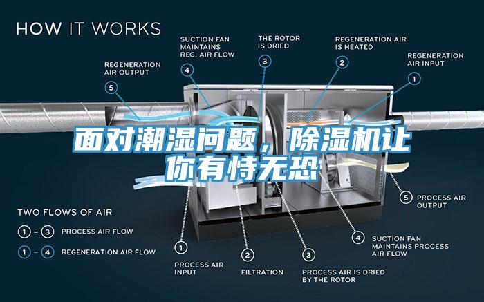 面對潮濕問題，除濕機(jī)讓你有恃無恐