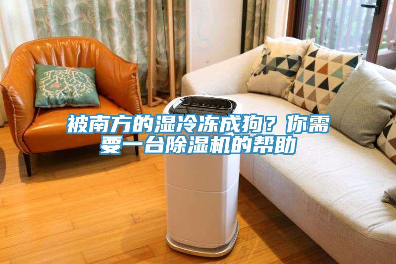 被南方的濕冷凍成狗？你需要一臺除濕機的幫助