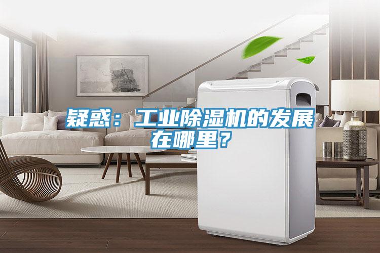 疑惑：工業(yè)除濕機(jī)的發(fā)展在哪里？