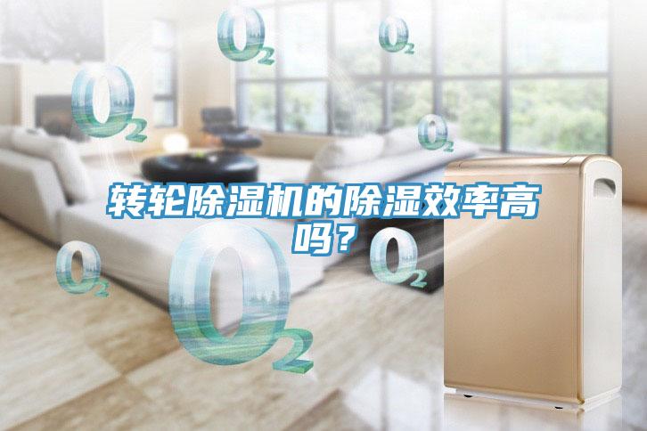 轉(zhuǎn)輪除濕機(jī)的除濕效率高嗎？
