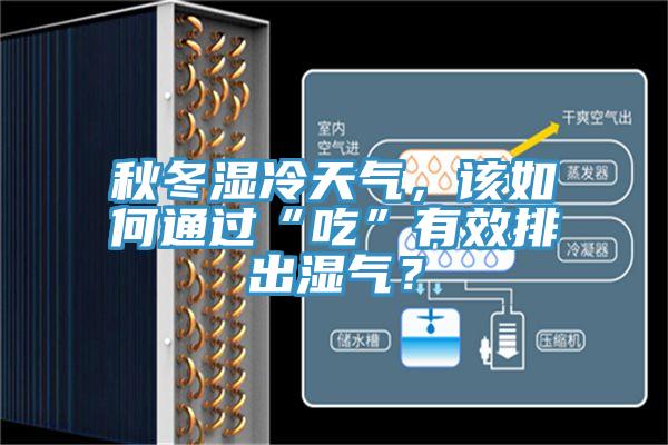秋冬濕冷天氣，該如何通過(guò)“吃”有效排出濕氣？