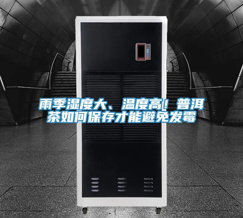雨季濕度大、溫度高！普洱茶如何保存才能避免發(fā)霉