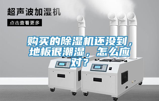 購買的除濕機還沒到，地板很潮濕，怎么應(yīng)對？