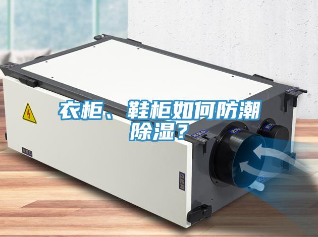 衣柜、鞋柜如何防潮除濕？