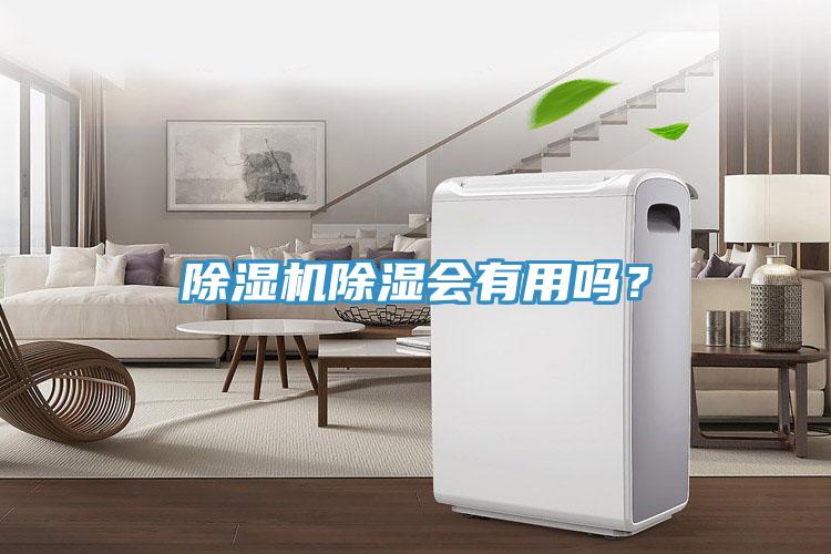 除濕機(jī)除濕會(huì)有用嗎？