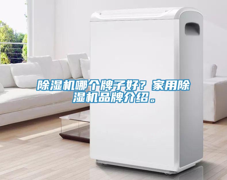 除濕機(jī)哪個牌子好？家用除濕機(jī)品牌介紹。