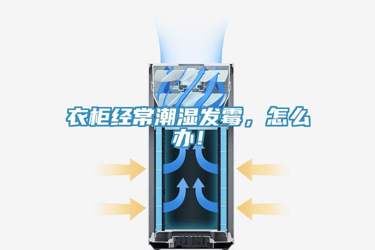 衣柜經(jīng)常潮濕發(fā)霉，怎么辦！