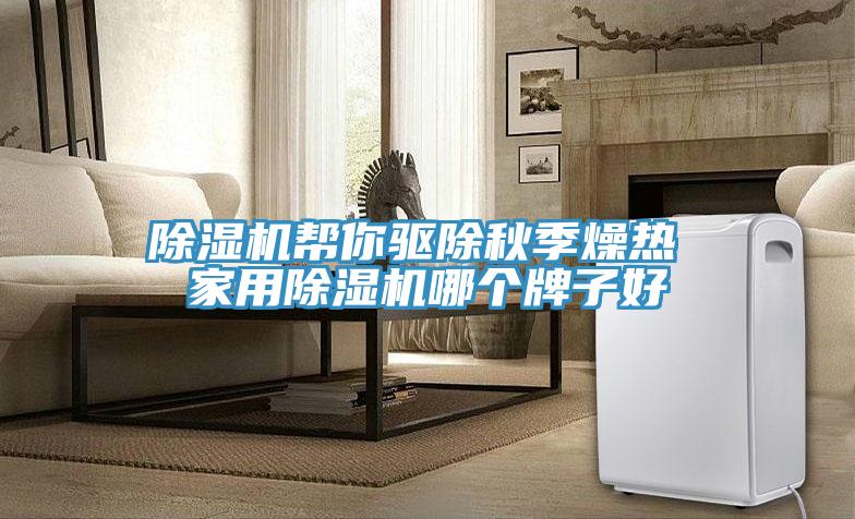 除濕機(jī)幫你驅(qū)除秋季燥熱 家用除濕機(jī)哪個牌子好