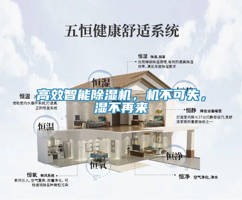 高效智能除濕機(jī)，機(jī)不可失，濕不再來(lái)