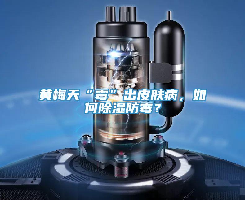 黃梅天“霉”出皮膚病，如何除濕防霉？