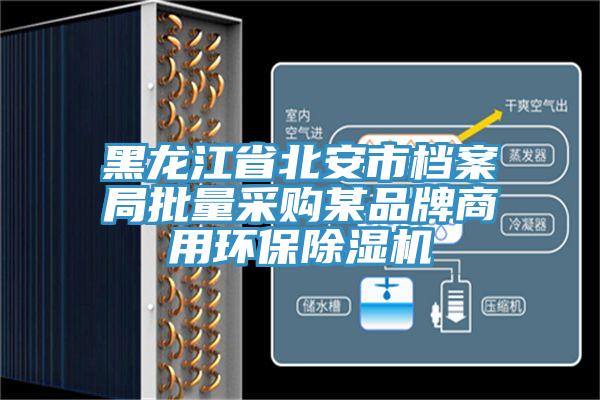 黑龍江省北安市檔案局批量采購(gòu)某品牌商用環(huán)保除濕機(jī)