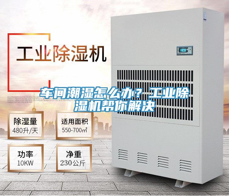 車間潮濕怎么辦？工業(yè)除濕機(jī)幫你解決