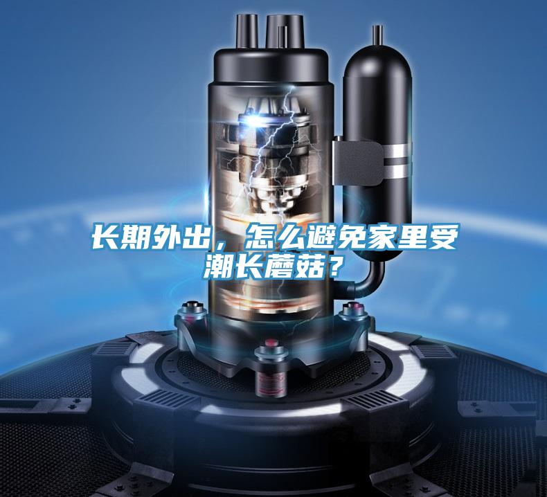 長期外出，怎么避免家里受潮長蘑菇？