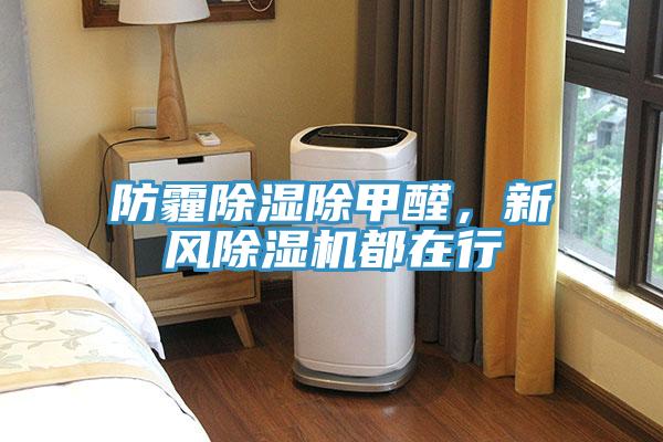 防霾除濕除甲醛，新風(fēng)除濕機(jī)都在行