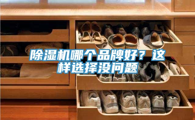 除濕機(jī)哪個品牌好？這樣選擇沒問題
