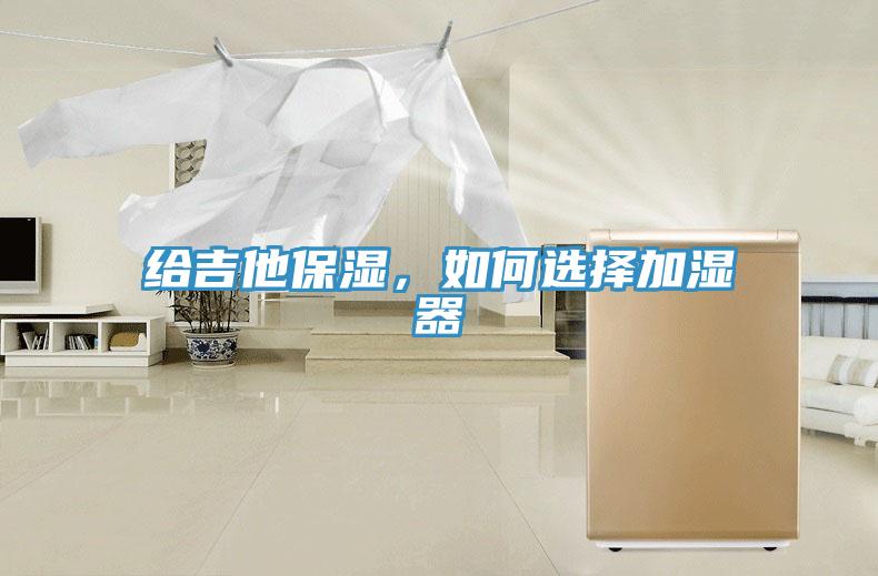 給吉他保濕，如何選擇加濕器