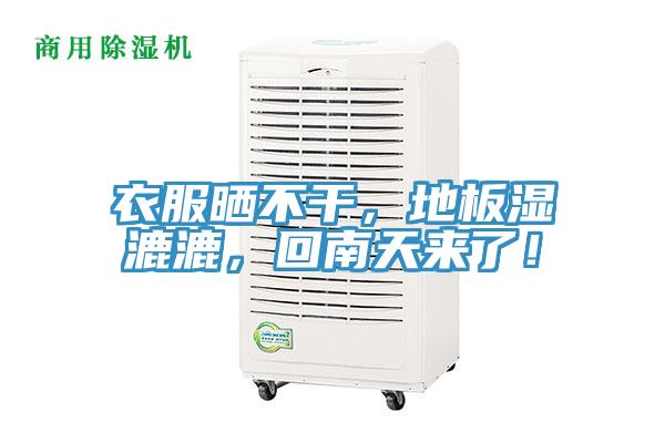 衣服曬不干，地板濕漉漉，回南天來了！