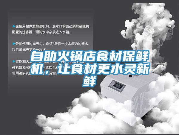 自助火鍋店食材保鮮機，讓食材更水靈新鮮