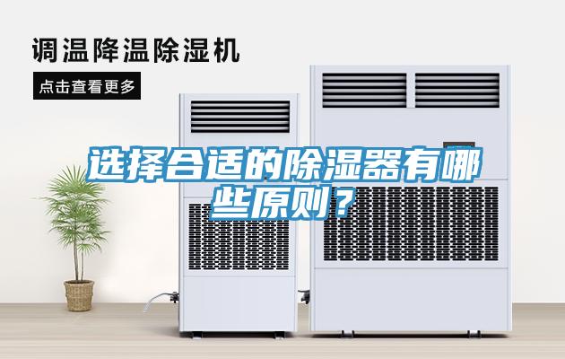 選擇合適的除濕器有哪些原則？