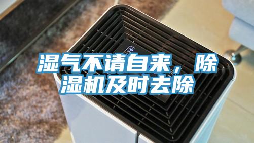 濕氣不請自來，除濕機及時去除