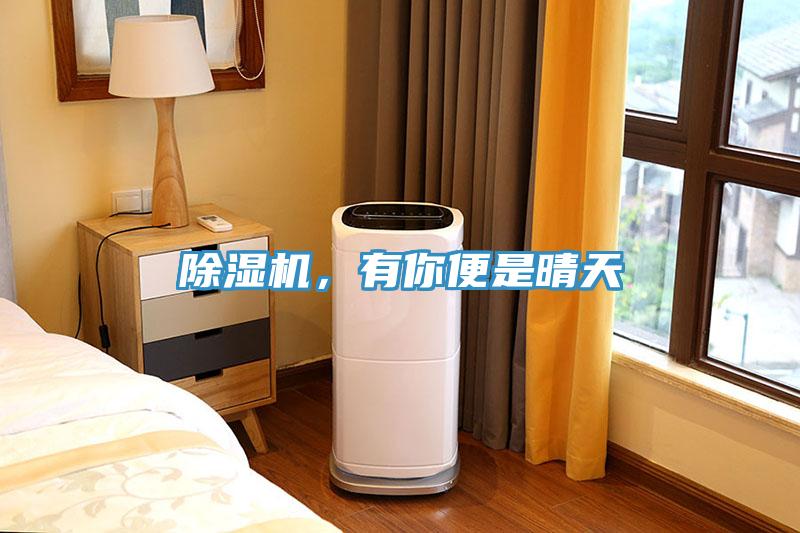除濕機，有你便是晴天