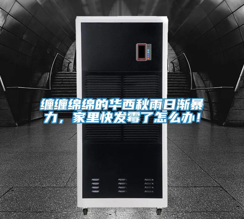 纏纏綿綿的華西秋雨日漸暴力，家里快發(fā)霉了怎么辦！