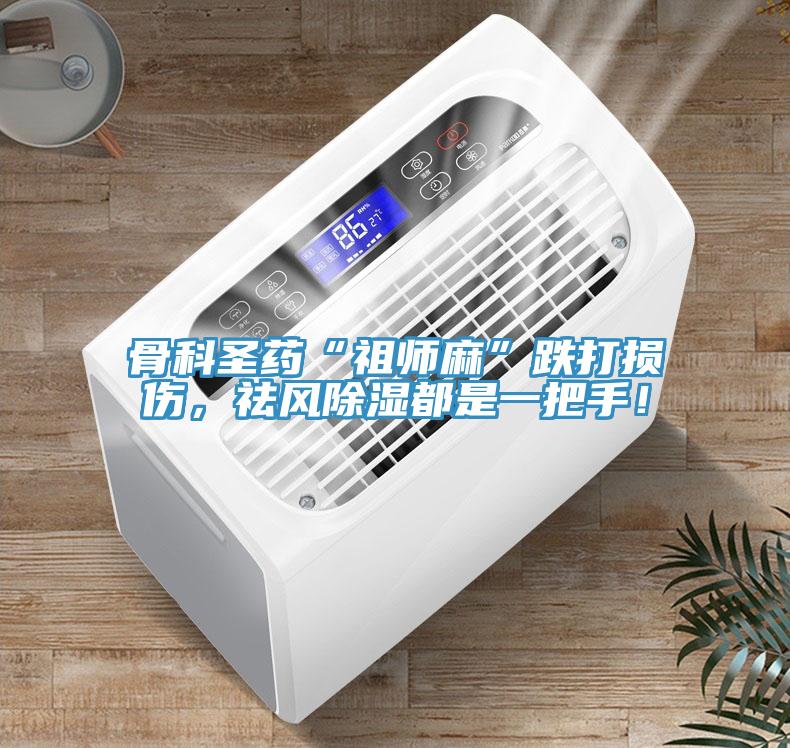 骨科圣藥“祖師麻”跌打損傷，祛風(fēng)除濕都是一把手！