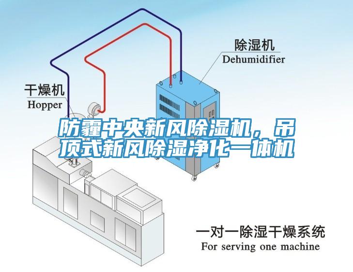 防霾中央新風(fēng)除濕機(jī)，吊頂式新風(fēng)除濕凈化一體機(jī)