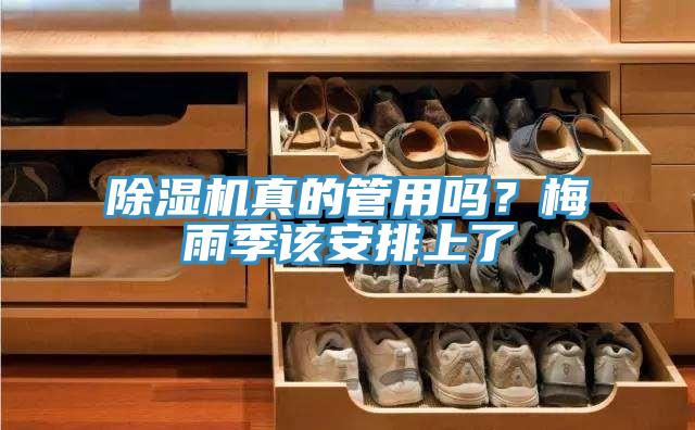 除濕機(jī)真的管用嗎？梅雨季該安排上了