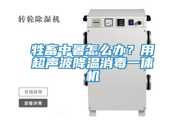 牲畜中暑怎么辦？用超聲波降溫消毒一體機(jī)