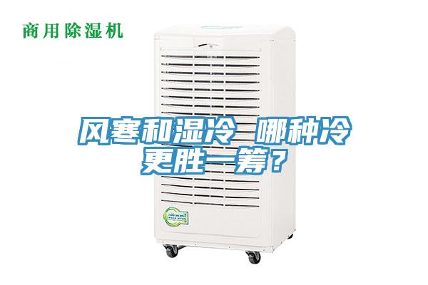 風(fēng)寒和濕冷 哪種冷更勝一籌？