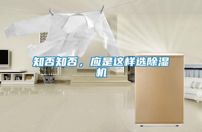 知否知否，應(yīng)是這樣選除濕機