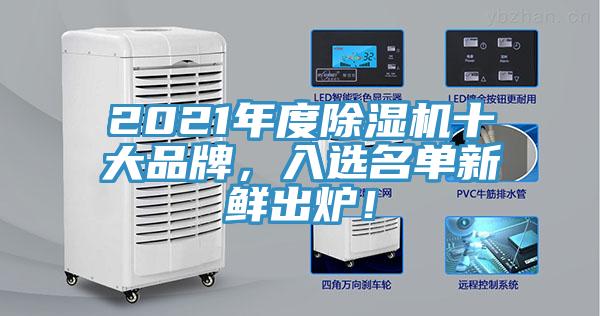 2021年度除濕機十大品牌，入選名單新鮮出爐！