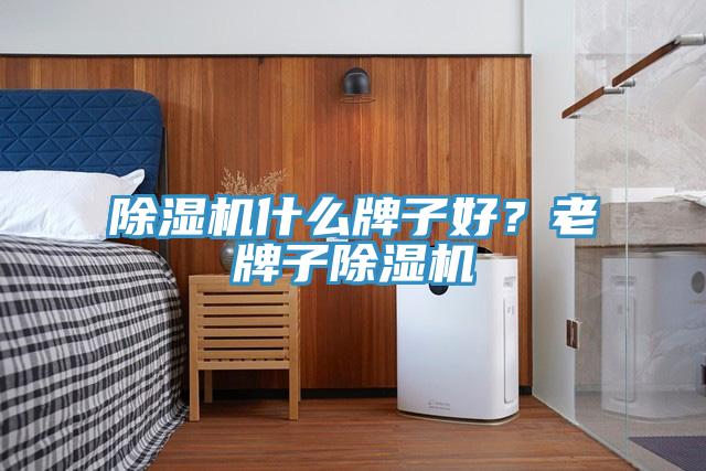 除濕機什么牌子好？老牌子除濕機