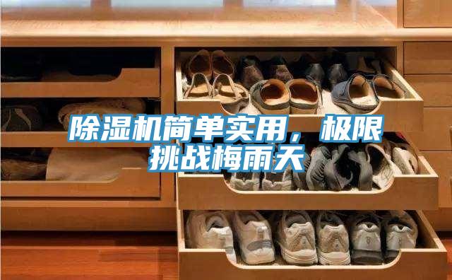除濕機(jī)簡單實(shí)用，極限挑戰(zhàn)梅雨天